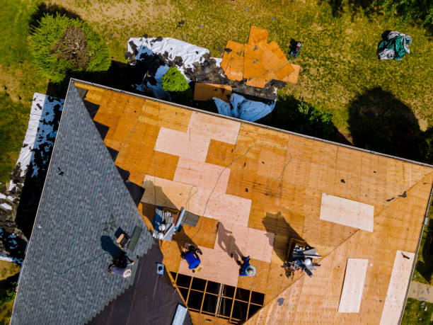 Best Storm Damage Roof Repair  in Randleman, NC