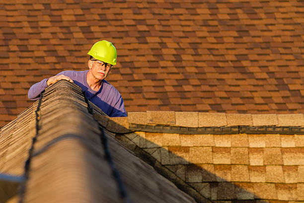 Best Roof Gutter Cleaning  in Randleman, NC